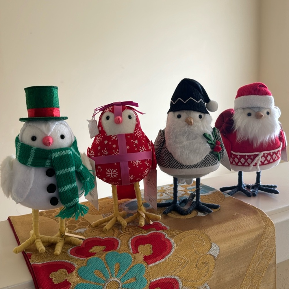 Wondershop Xmas Bird Set 2022